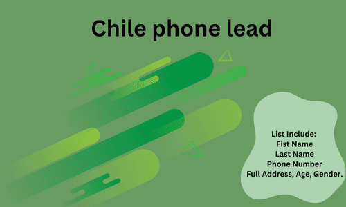 Chile phone lead