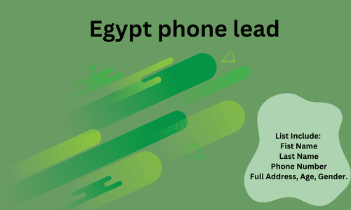 Egypt phone lead